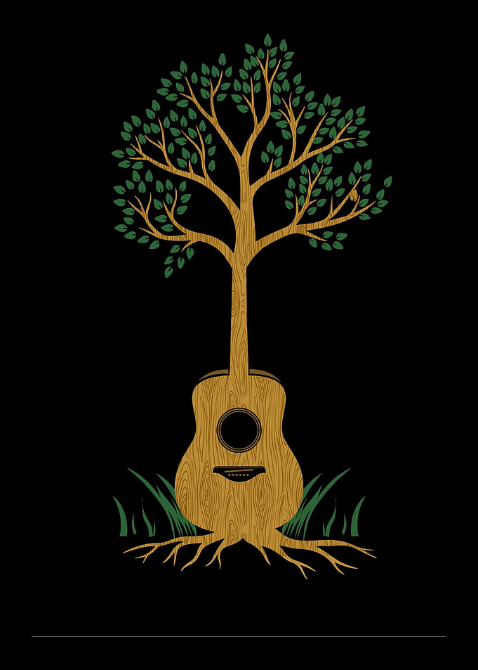 Acoustic Guitar Guitarist