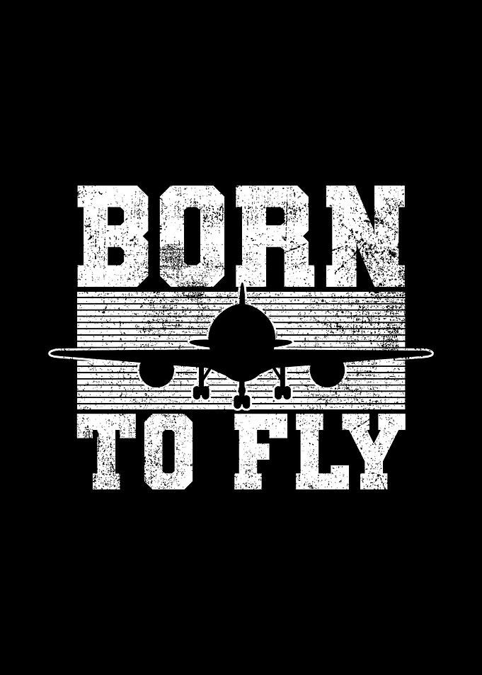 Pilot Flight Airplane