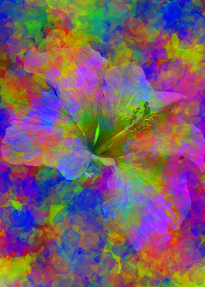Abstract flower