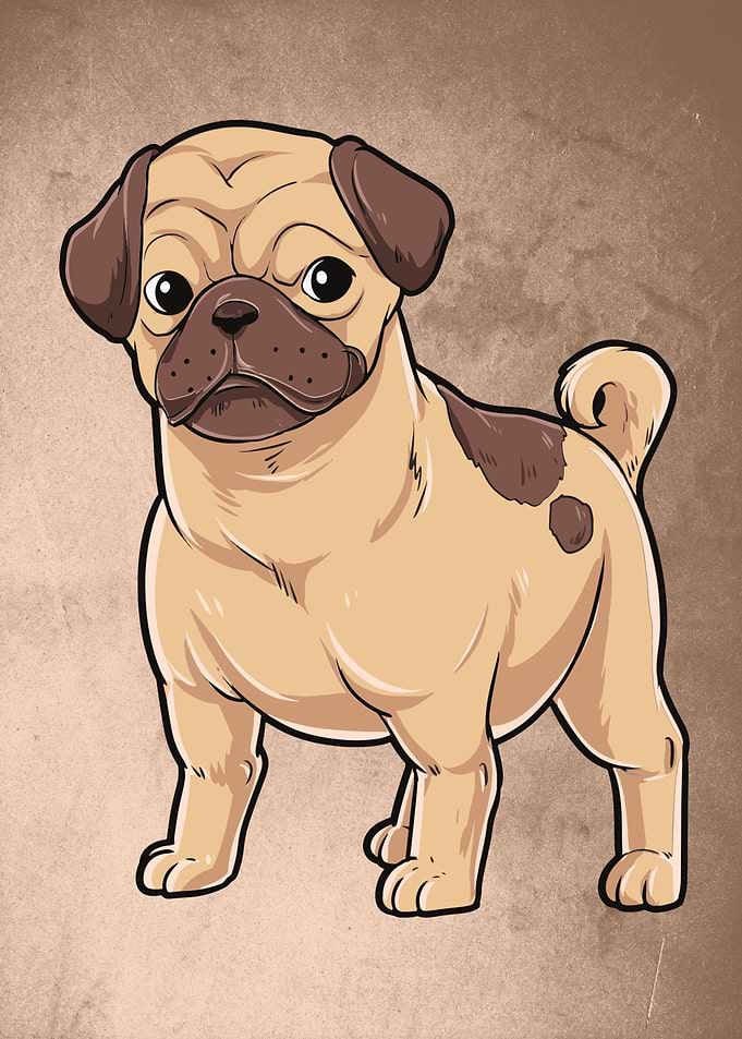 Cute Pug