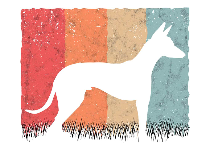Podenco Retro Ibizan Hound