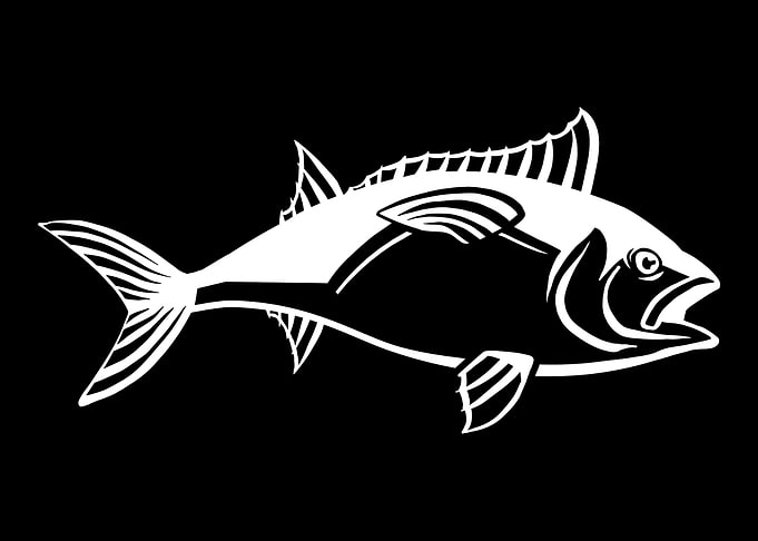 Tuna