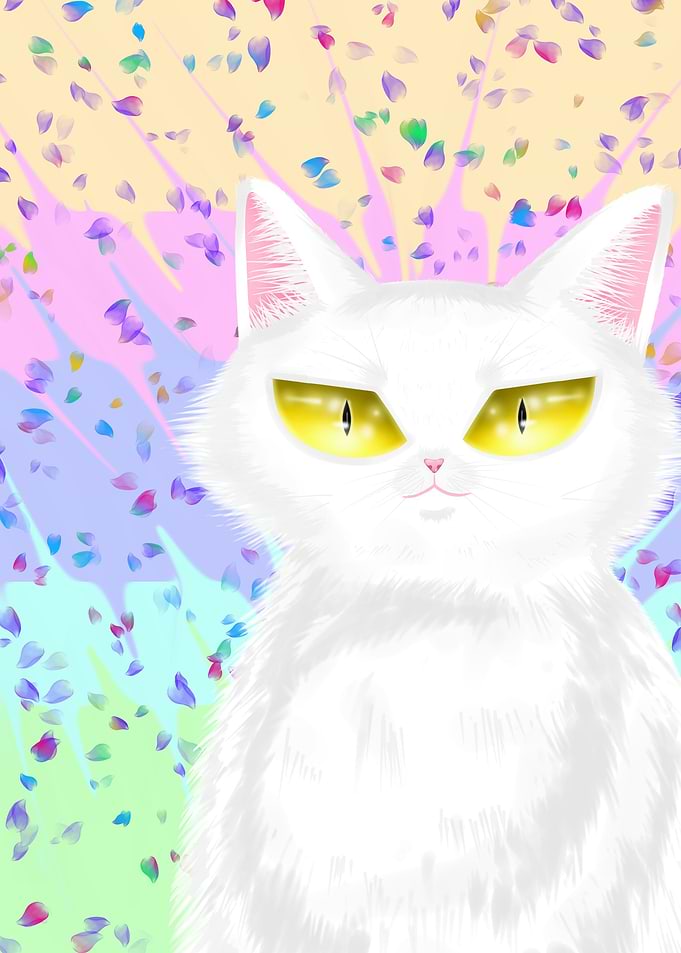 White Cat
