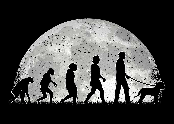 Lagotto Romagnolo Evolutio