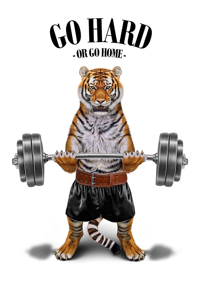 Tiger Weightlifting