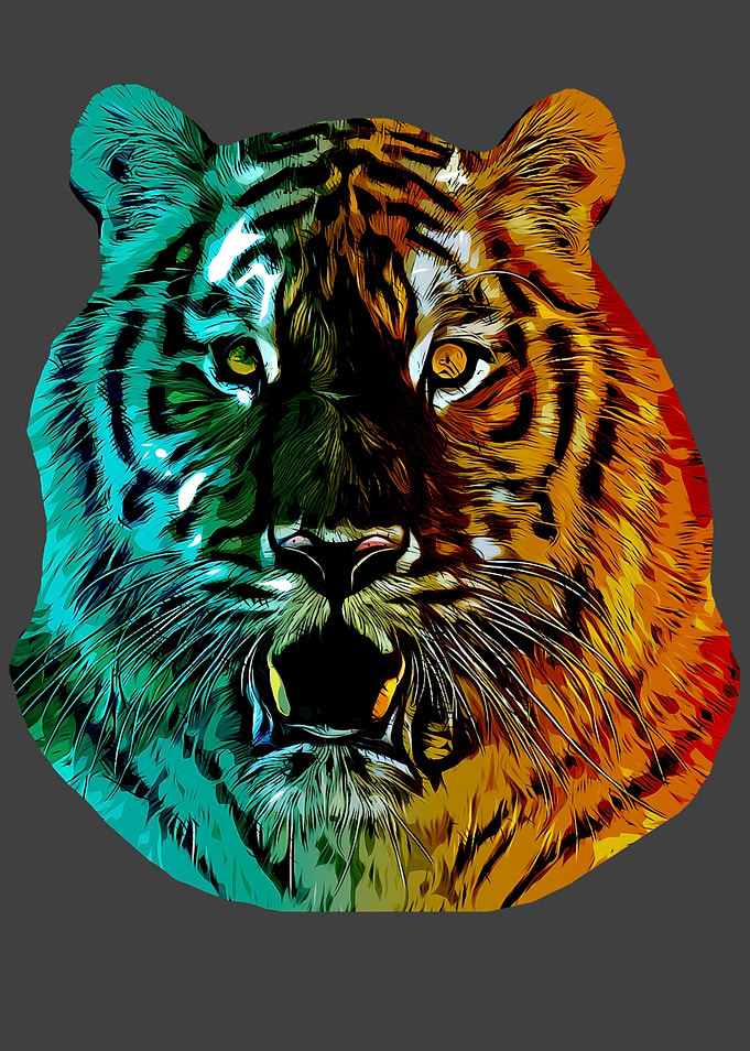 Rainbow Tiger