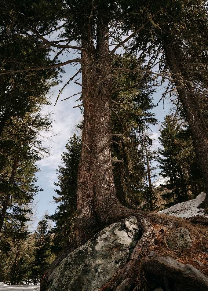 hike in the mountains