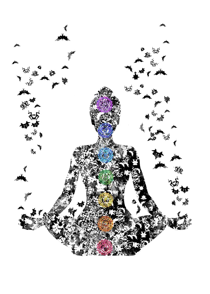 The Seven Chakras