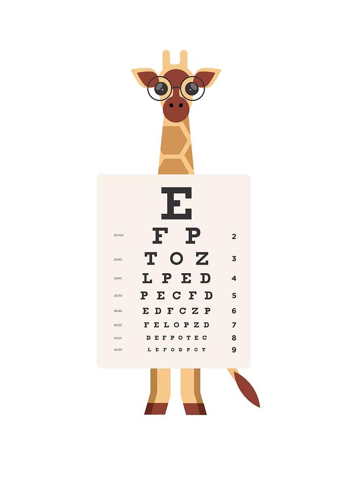 Funny and Cute Giraffe