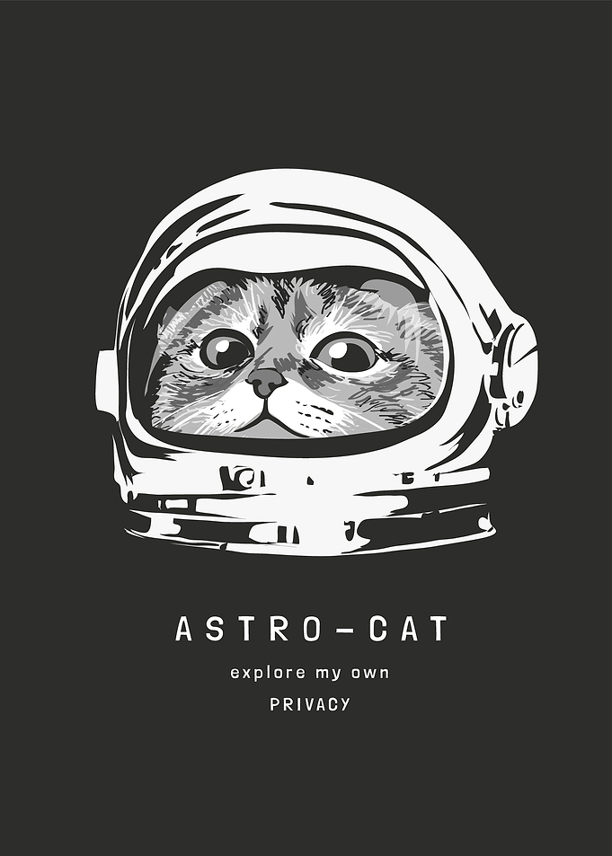 Astronaut cat