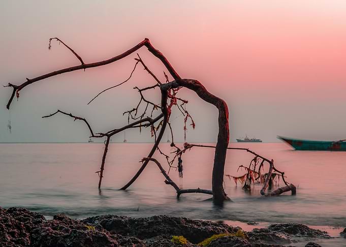 Sunset and nature