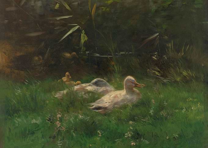 Eenden