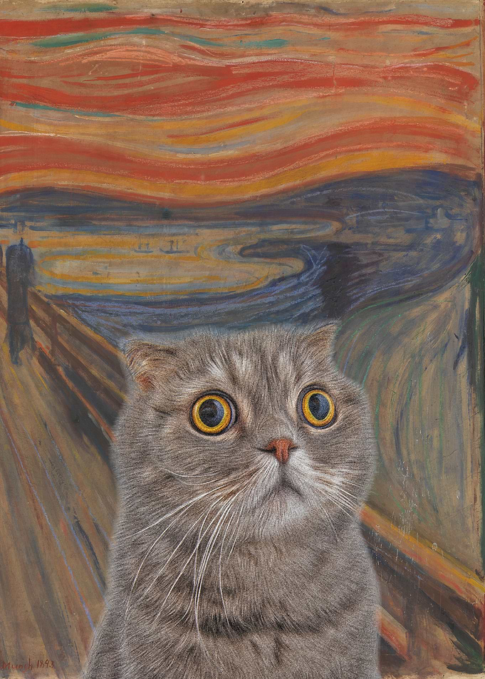 The Meow 02