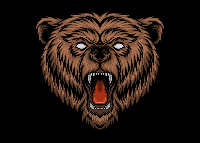 Angry Bear head