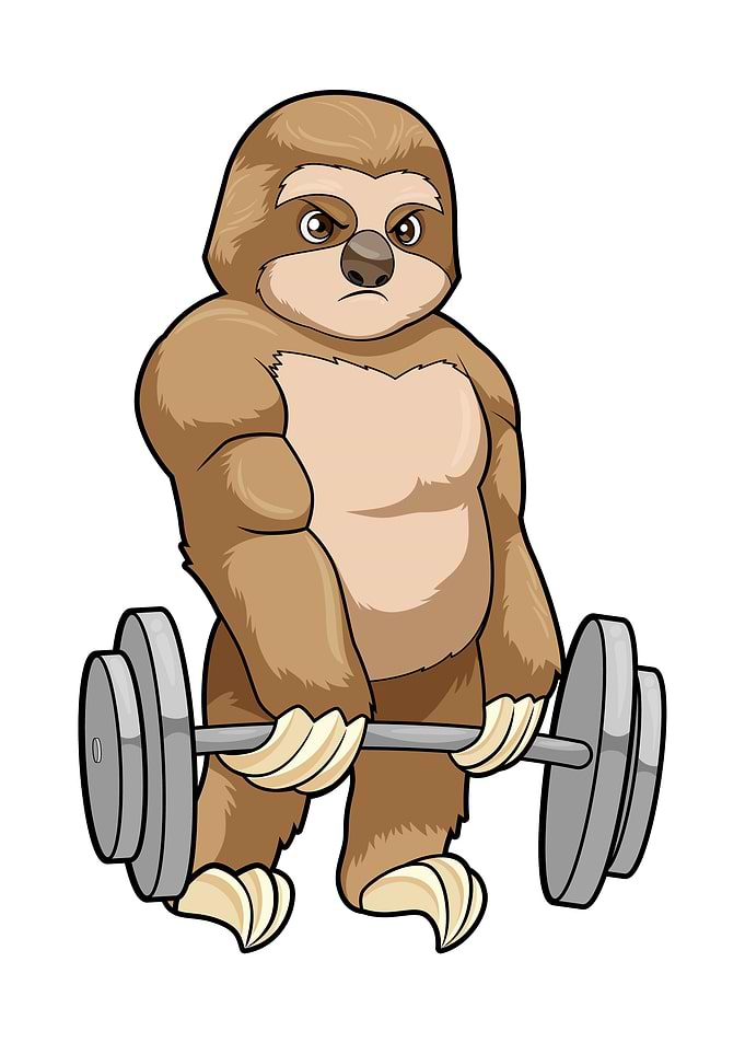 Sloth Fitness Dumbbell