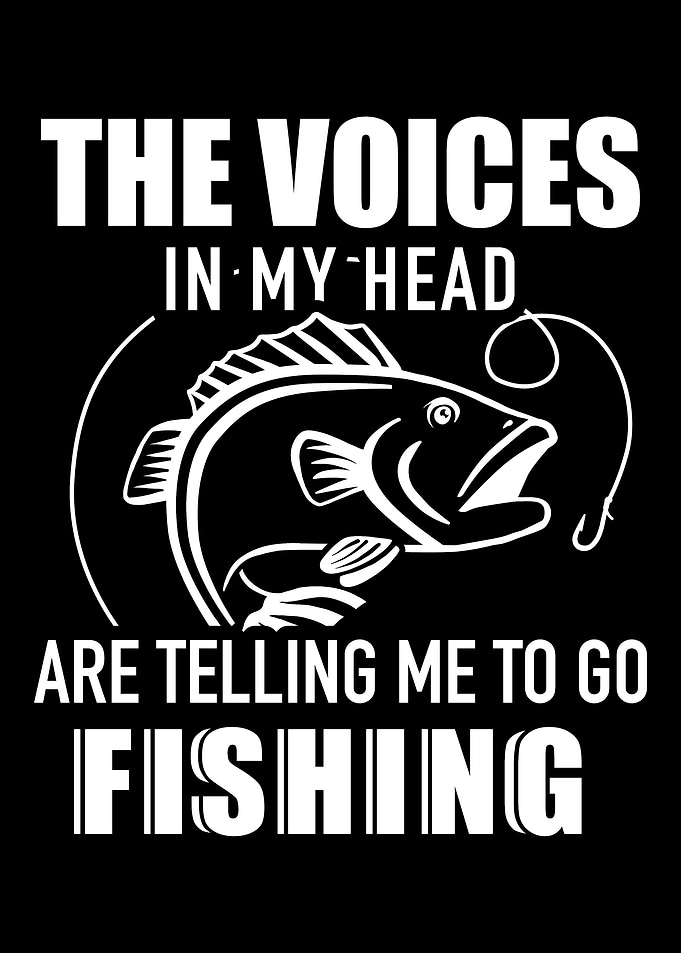 The voices in my head are