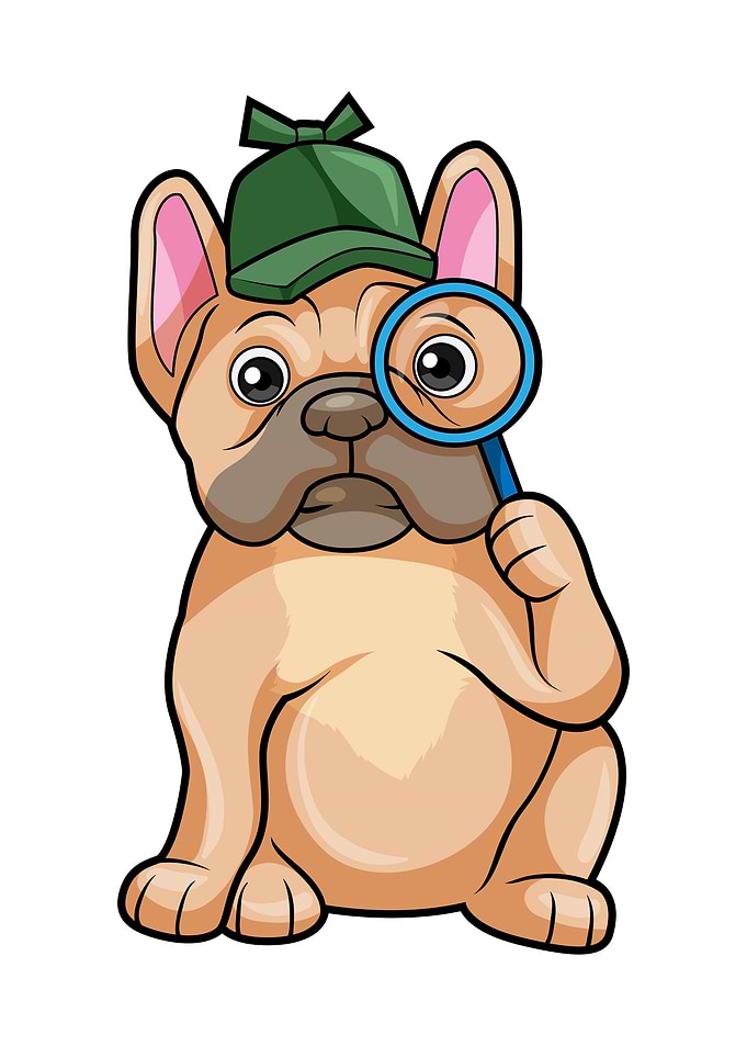 French Bulldog Detective