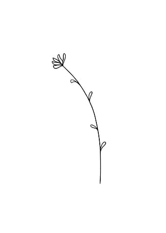 botanical ilustration 01
