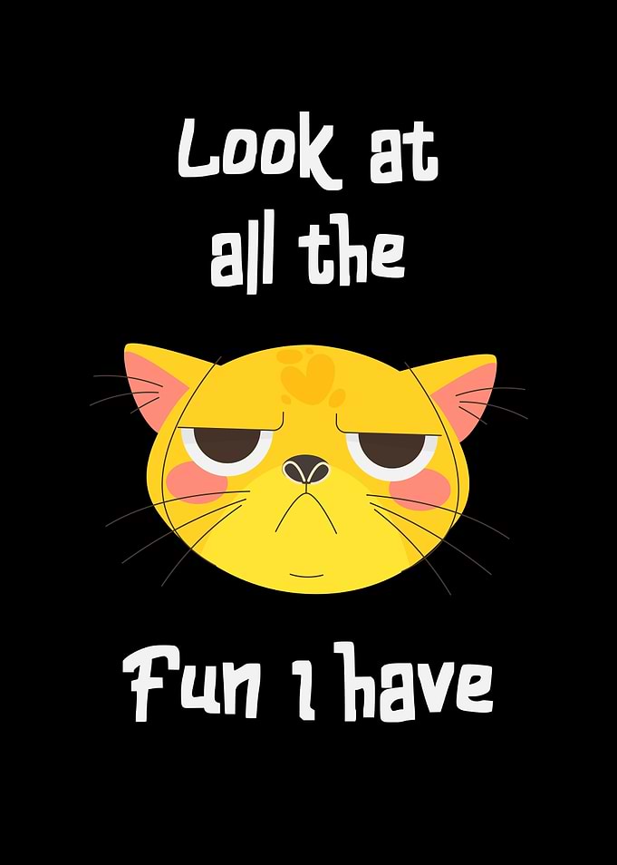 Sarcastic Cat Has Fun Fun