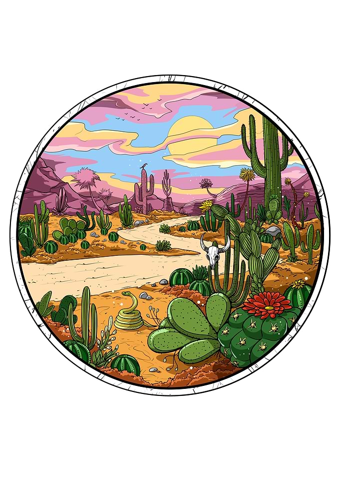 Cactus Desert Road Trip