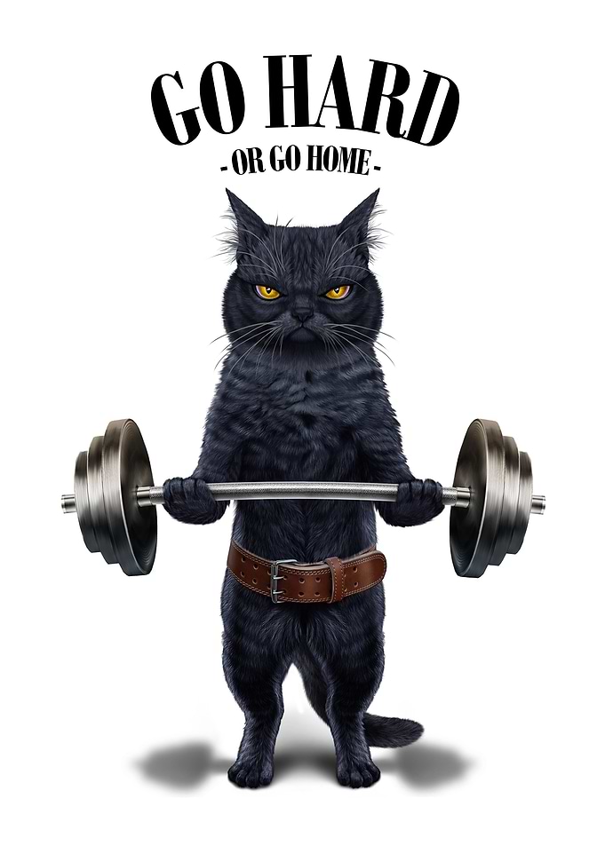 Black Cat Weightlifting
