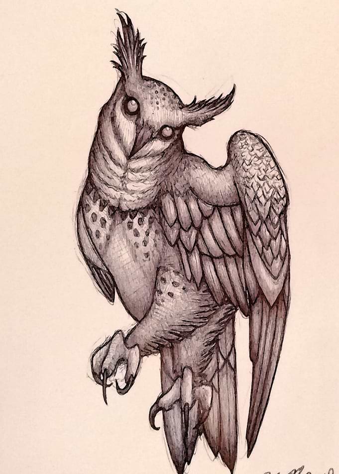 owl 2