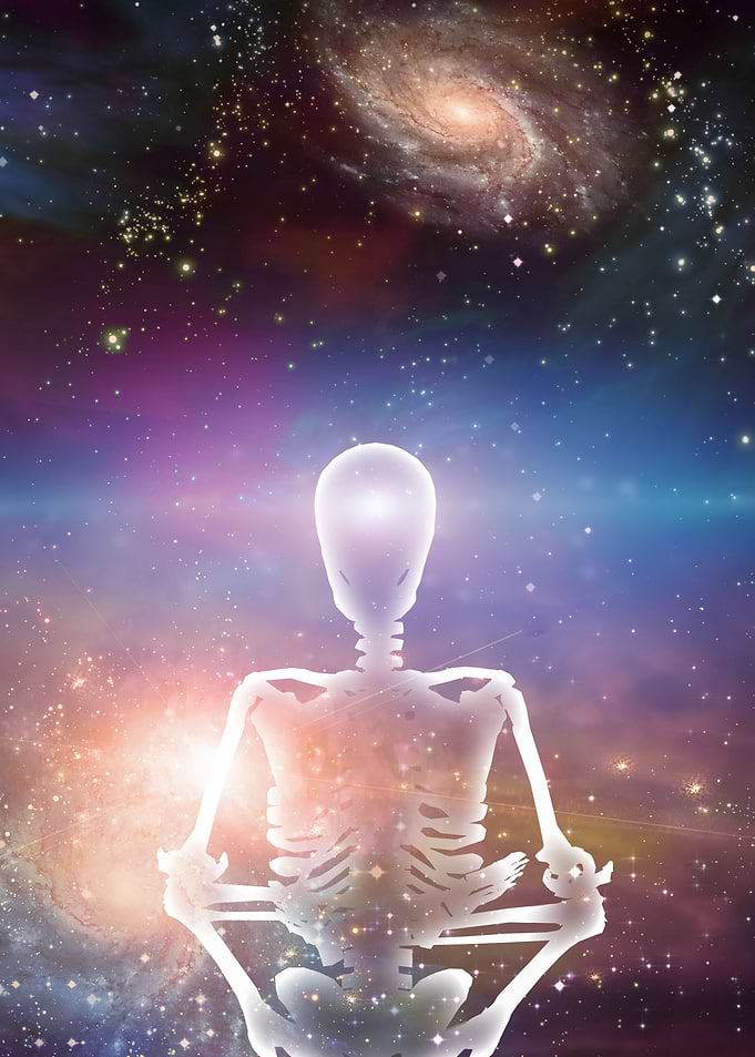 Skeleton in lotus pose