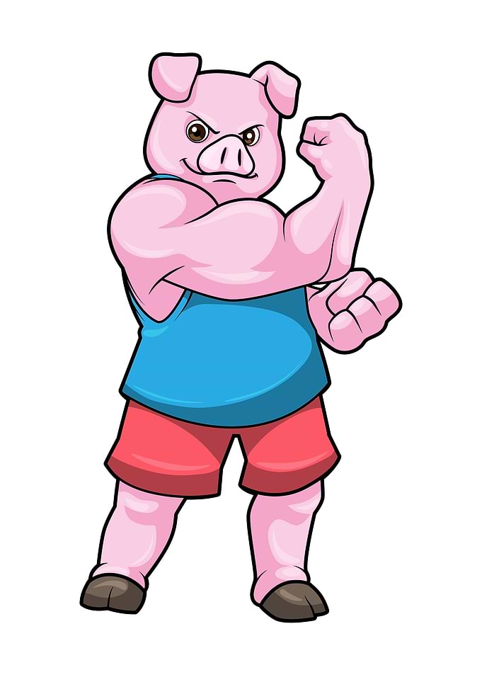 Pig Bodybuilding Sports