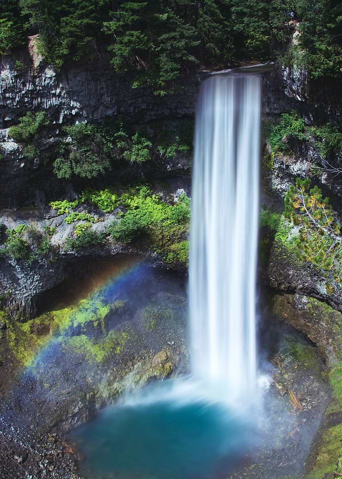 Waterfall in Forest Nature