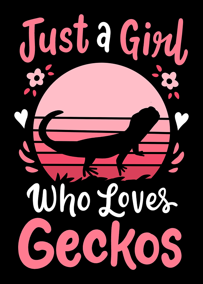 Geckos Lizard Gecko Lover