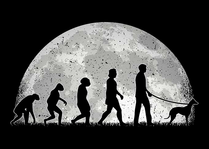 Whippet Evolution Moon Gre