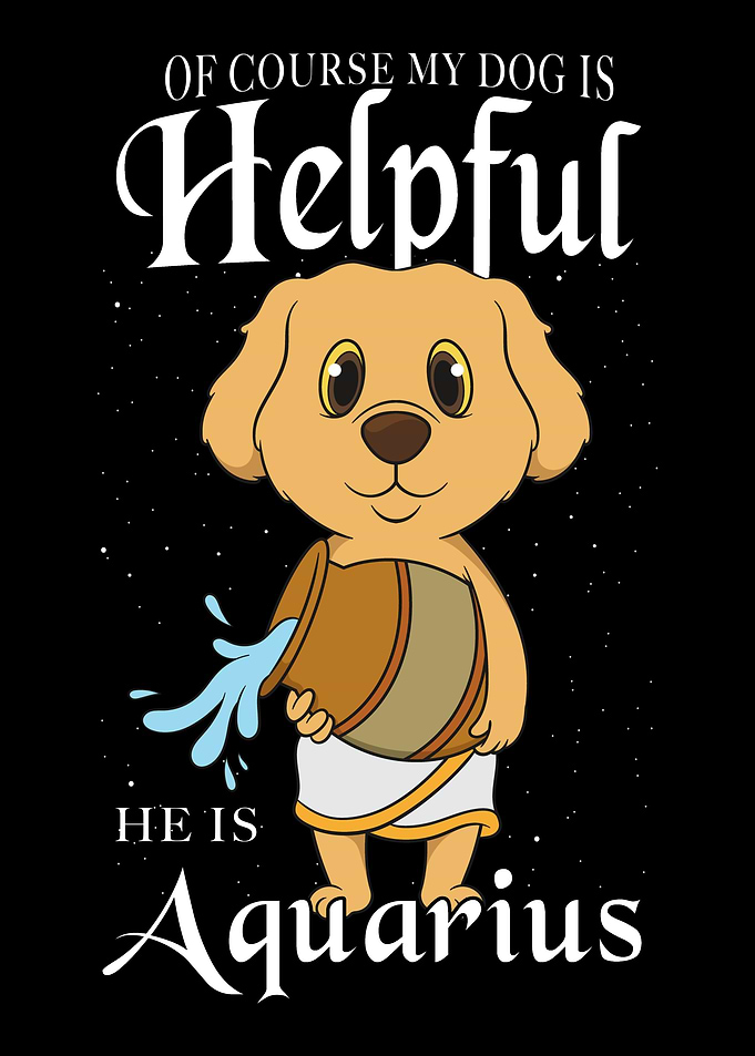 Retriever Aquarius Dog