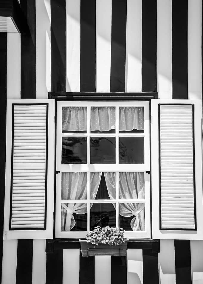 Cute Window