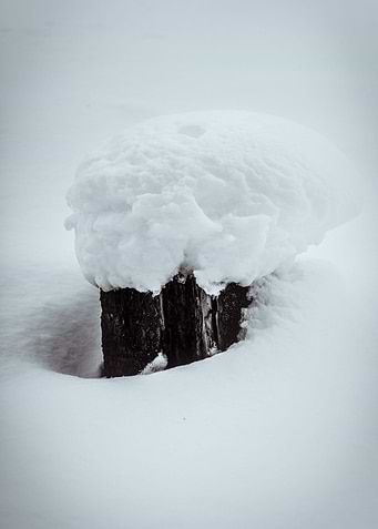 Snow cap on the tree stump