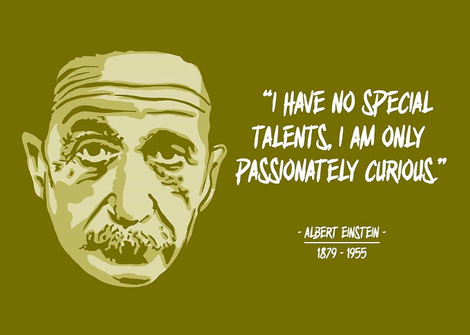 ALBERT EINSTEIN MOTIVATION