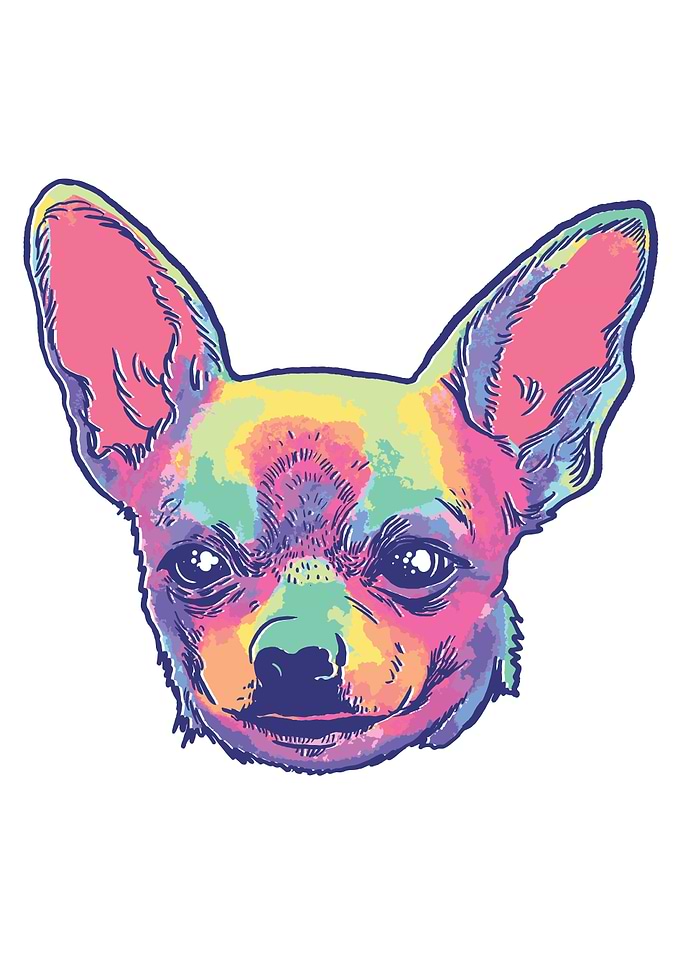 TIE DYE CHIHUAHUA