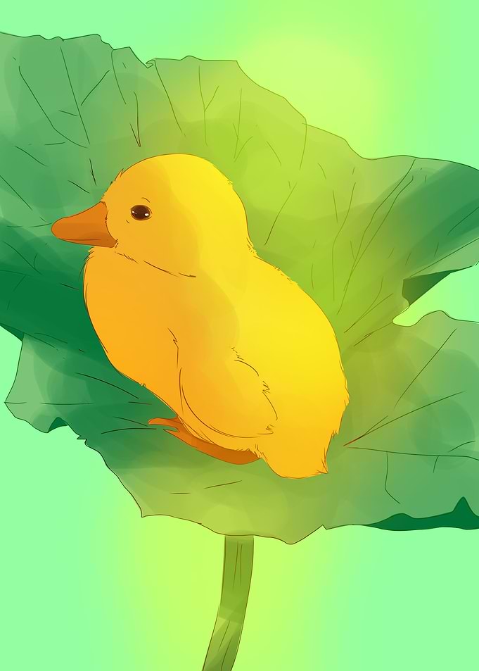 cute little duck