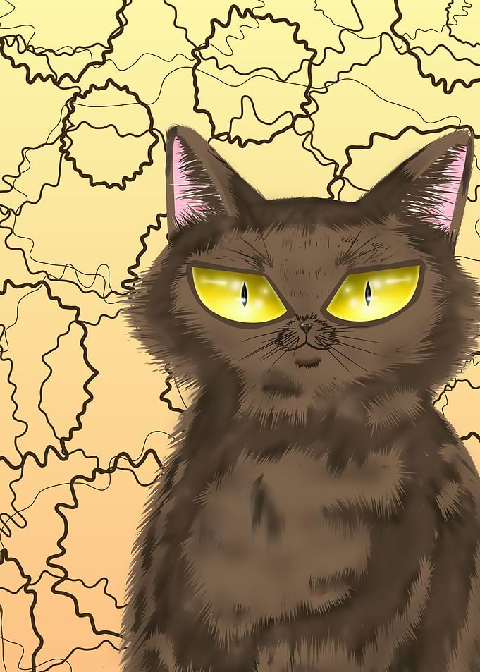 cats