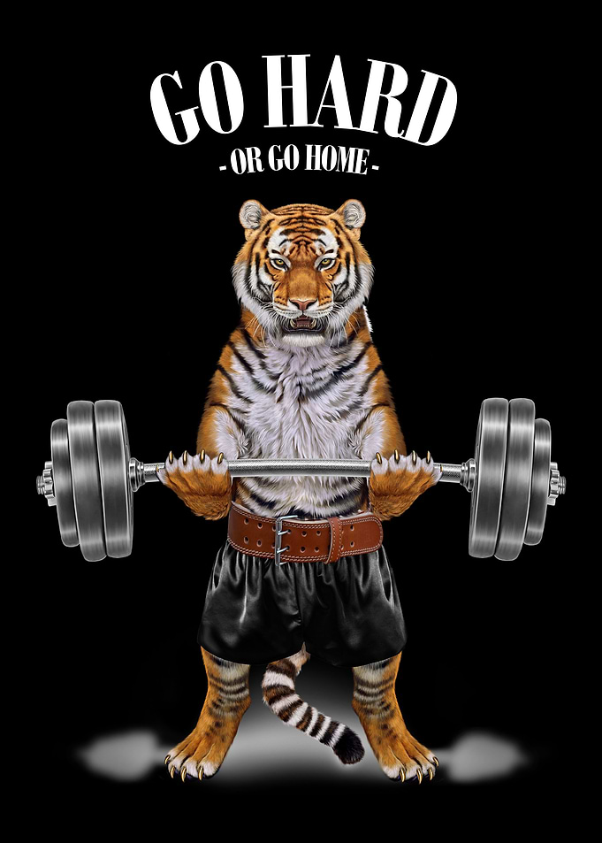 Tiger Weightlifting