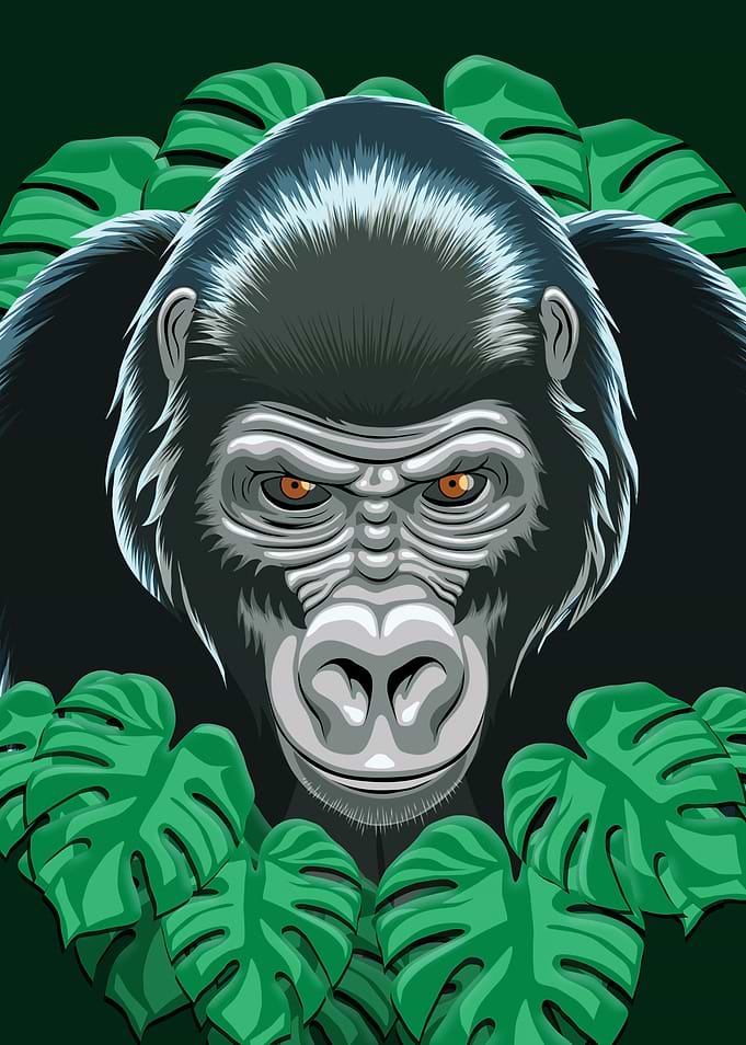 Gorilla Face