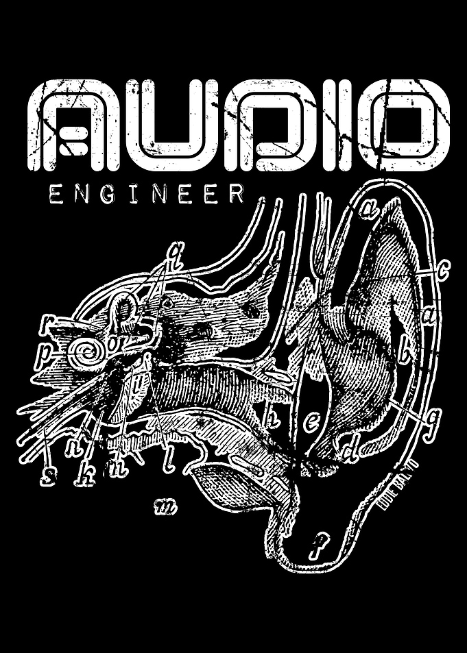 Audio Engineer Music Fan