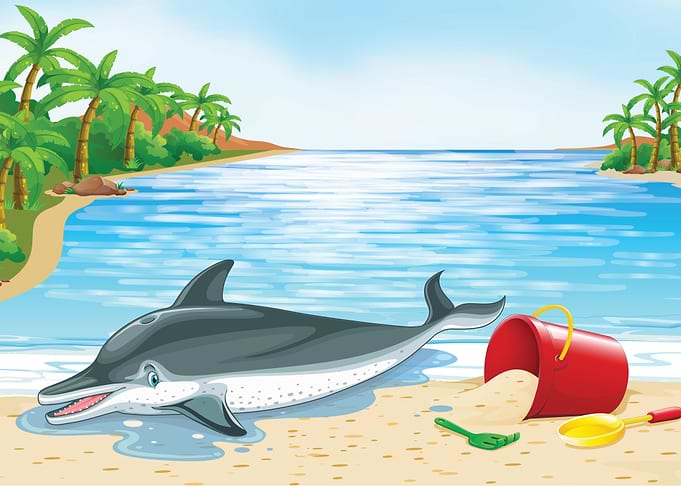 Beach Landscape
