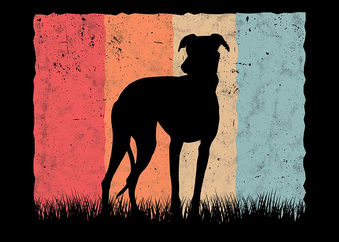Whippet Retro Greyhound Vi