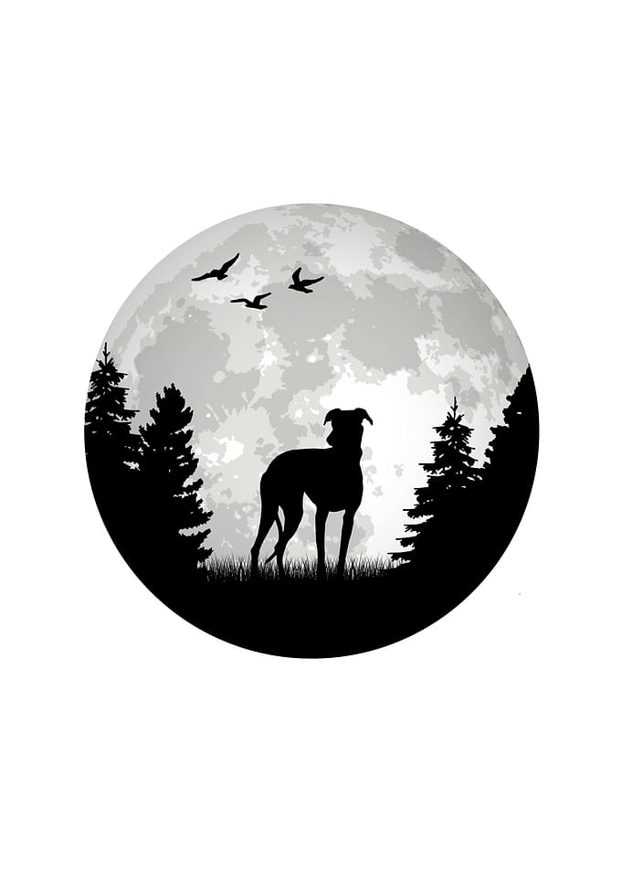 Whippet Dog Moon Greyhound
