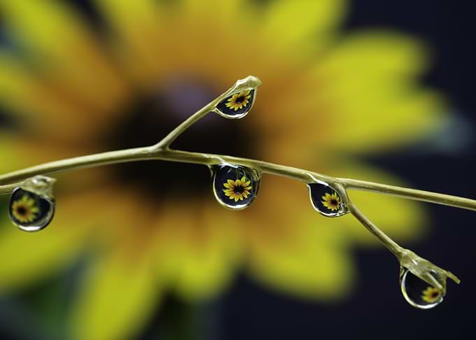 Small drops