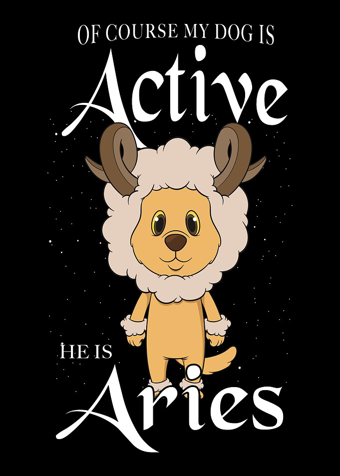 Retriever Aries Dog