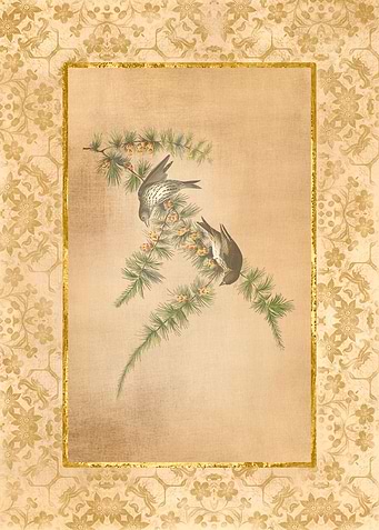 Antique Flowers and Birds