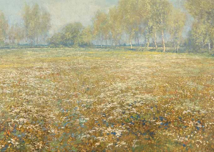 Meadow in Bloom