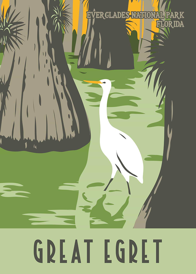 Great Egret WPA