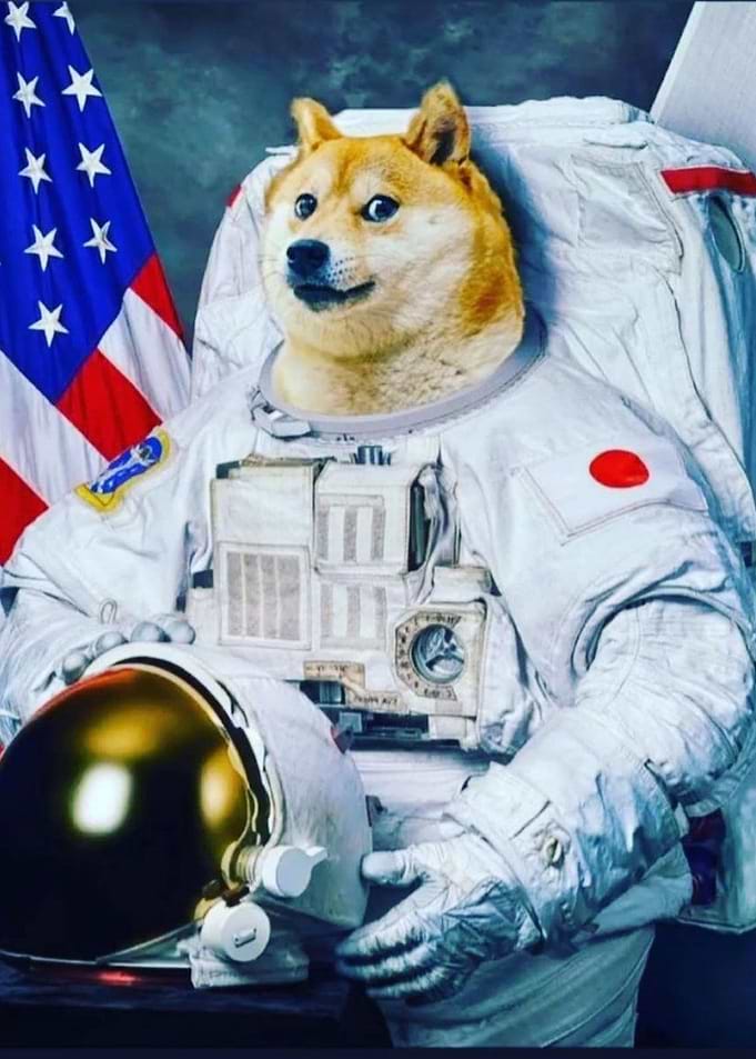 DOGECOIN TO THE MOON